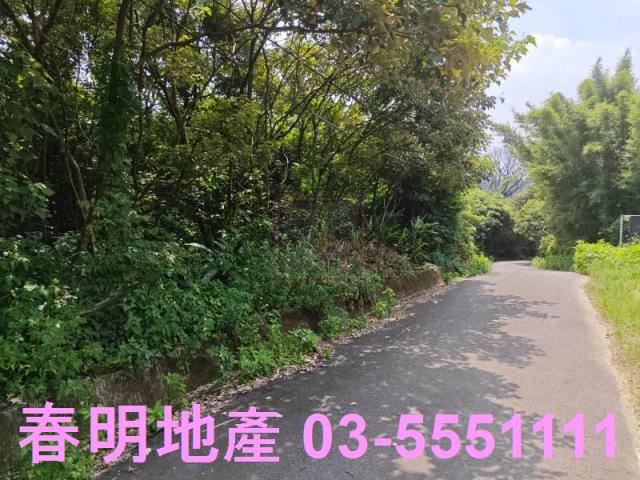 新竹新埔農地-7