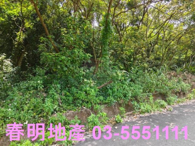新竹新埔農地-8