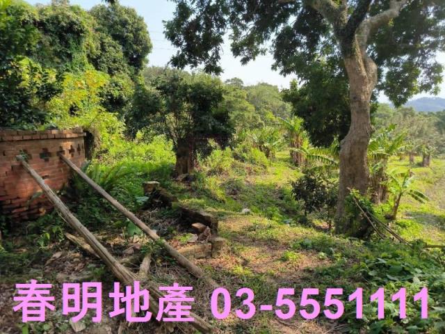 新竹竹東公園用地-0