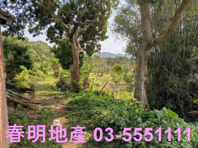 新竹竹東公園用地-1