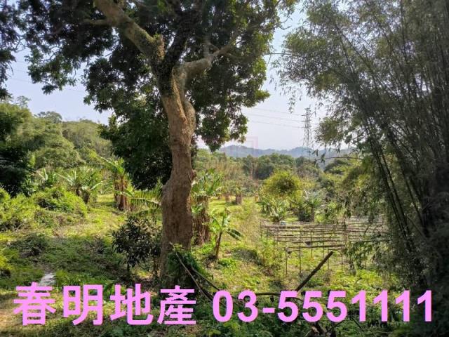 新竹竹東公園用地-2