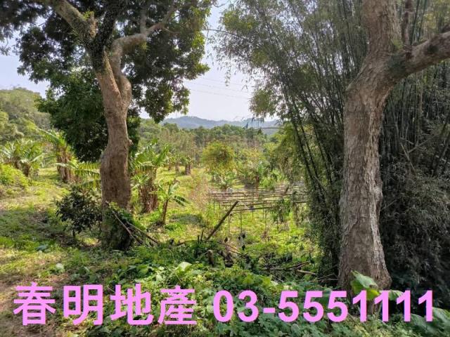 新竹竹東公園用地-3