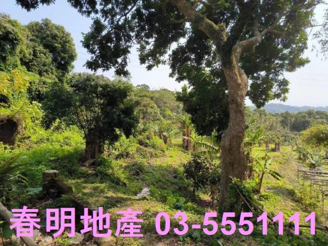 新竹竹東公園用地-4