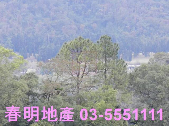 新竹農地-9
