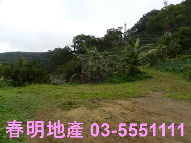 新竹農地-0