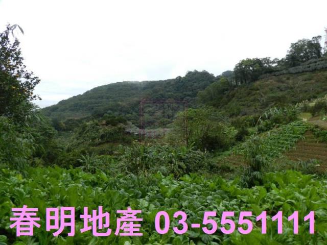 新竹農地-2