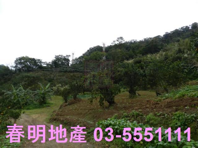 新竹農地-4