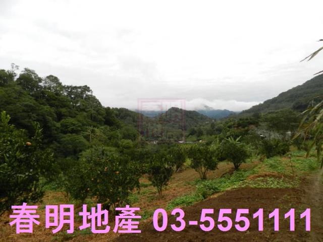 新竹農地-5