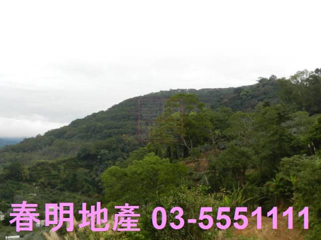 新竹農地-8