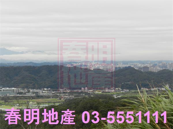 新埔農地-10