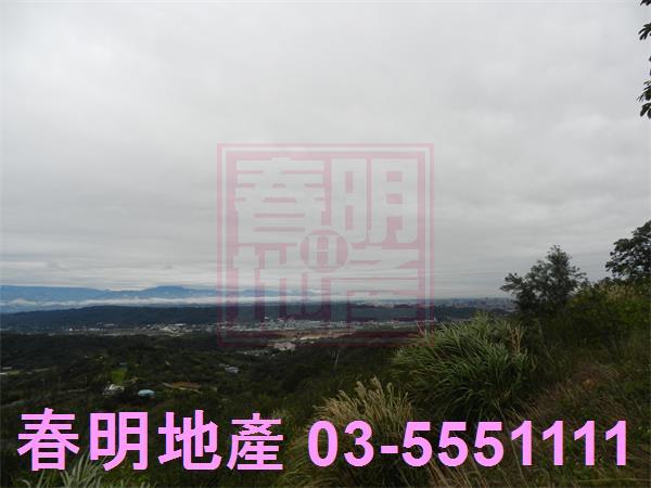 新埔農地-3