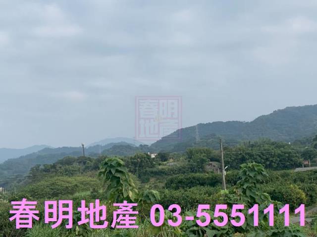 新竹農地-3