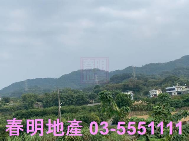 新竹農地-4
