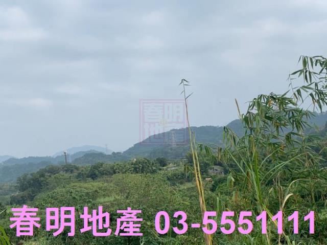 新竹農地-6