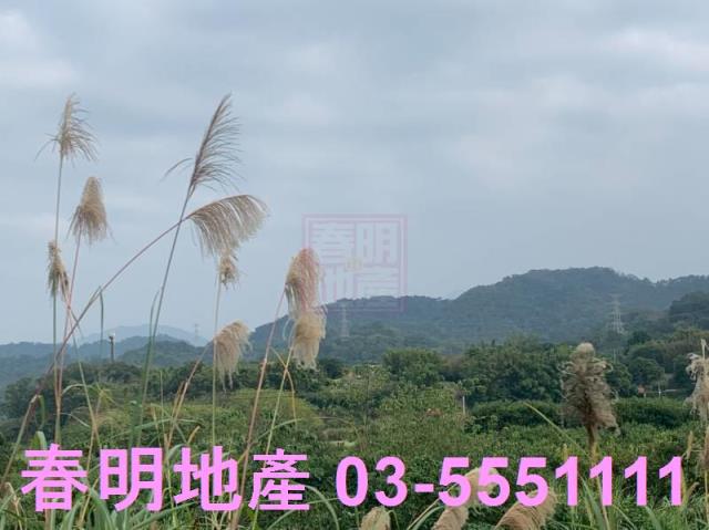 新竹農地-7