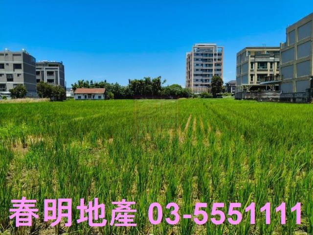 新竹竹北農地-2