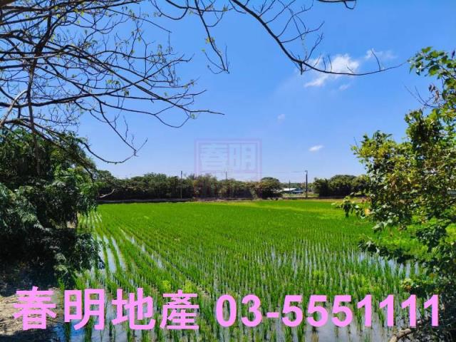 新竹竹北農地-3