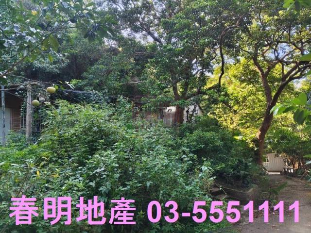 新埔農地-11