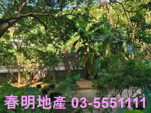 新埔農地-0