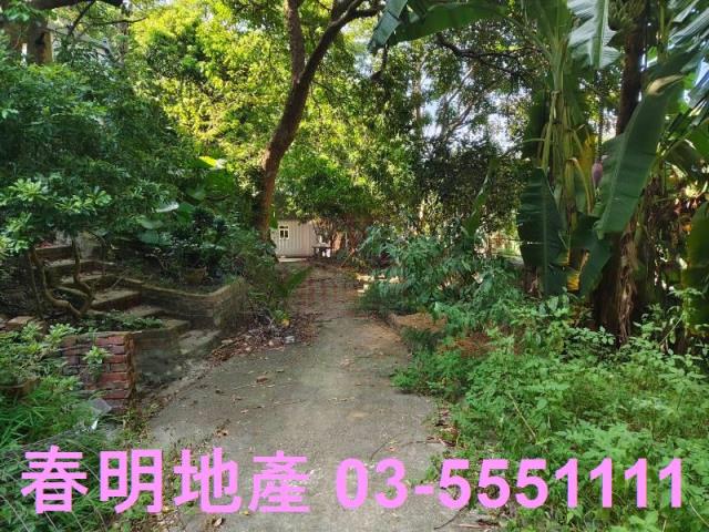 新埔農地-4