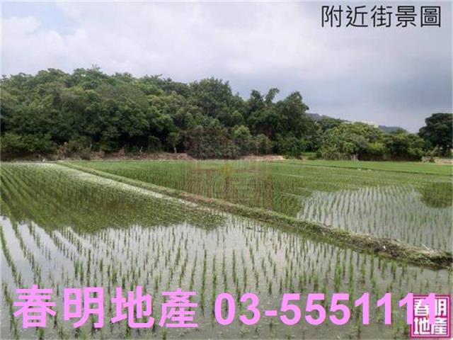 竹北農地-6