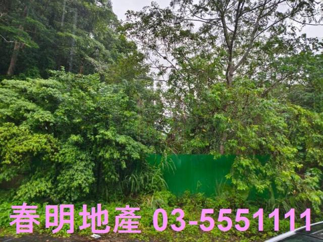 竹東林地-10