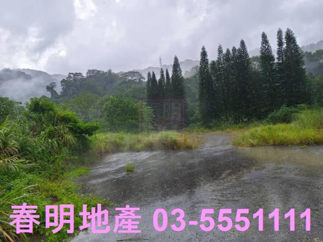 竹東林地-0