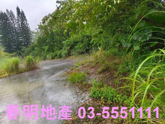 竹東林地-1