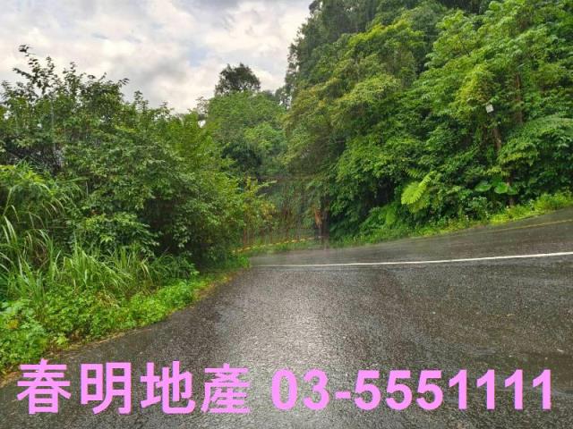 竹東林地-2