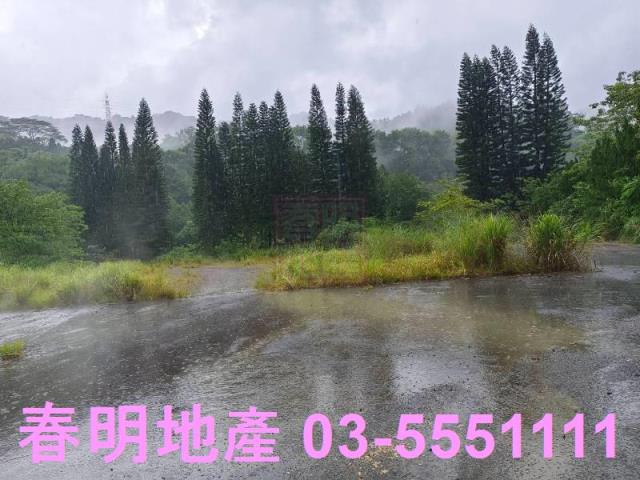 竹東林地-4