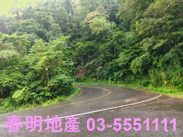 竹東林地-5