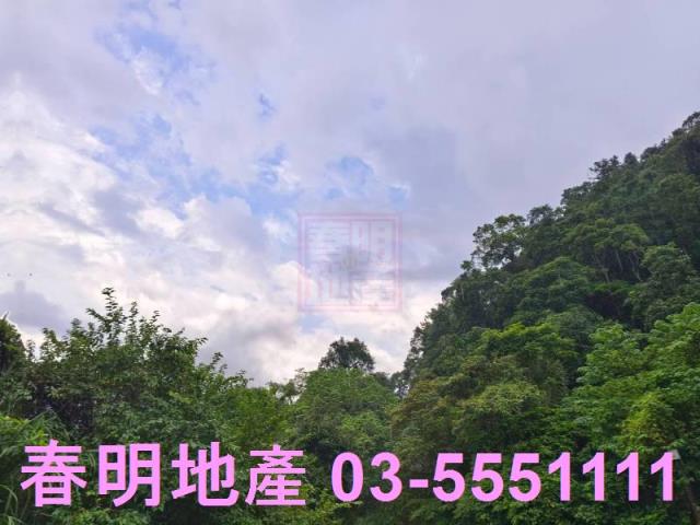 竹東林地-6