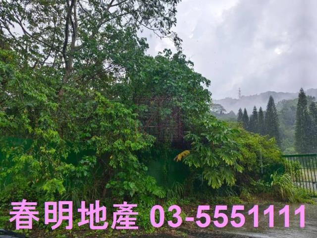 竹東林地-8