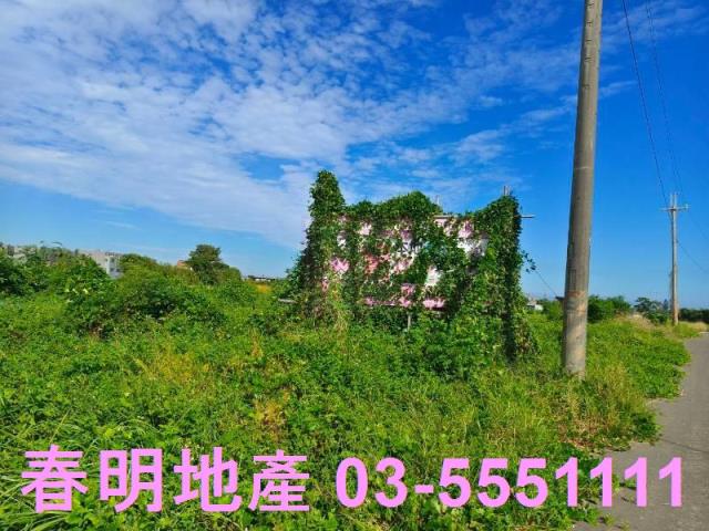 新竹新豐農地-0