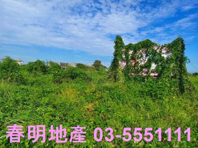 新竹新豐農地-1