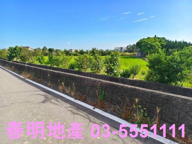 新竹新豐農地-2