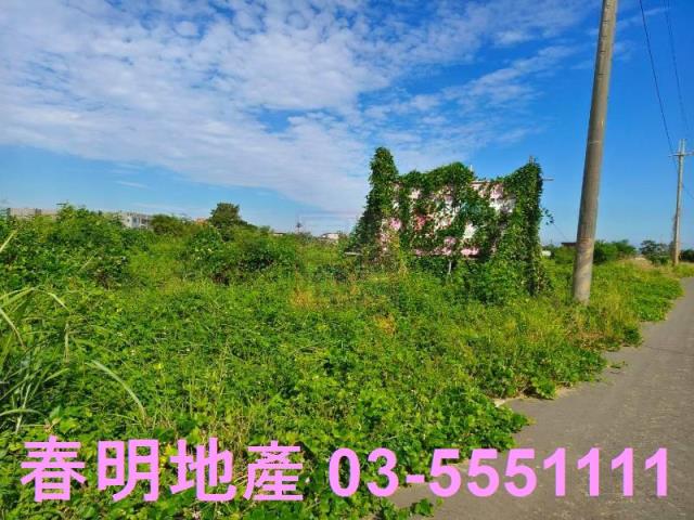 新竹新豐農地-5