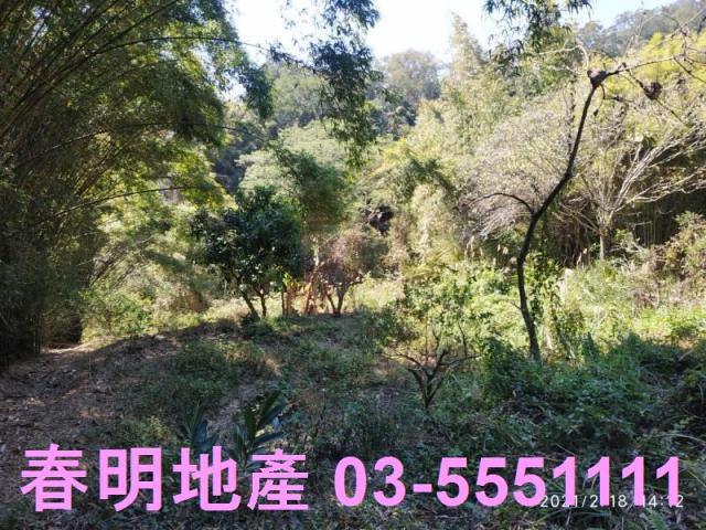 芎林農地-9