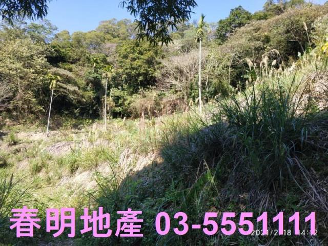 芎林農地-10