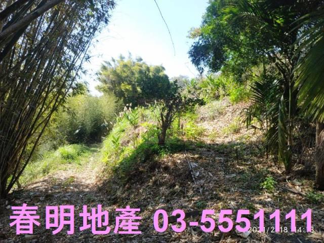 芎林農地-11