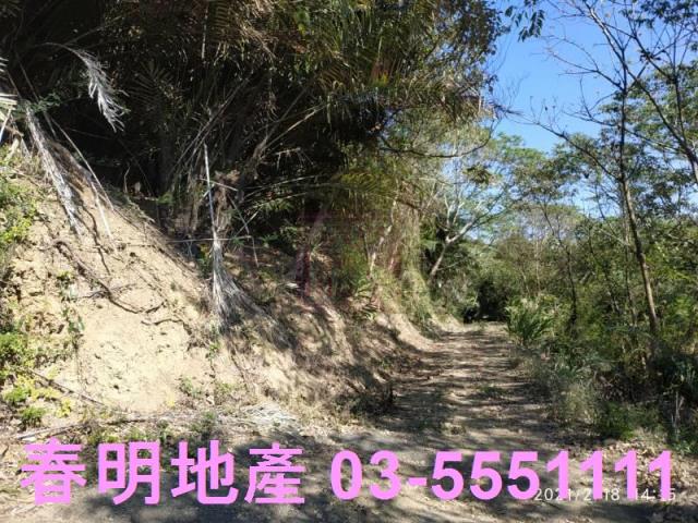 芎林農地-3