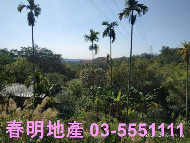 芎林農地-4