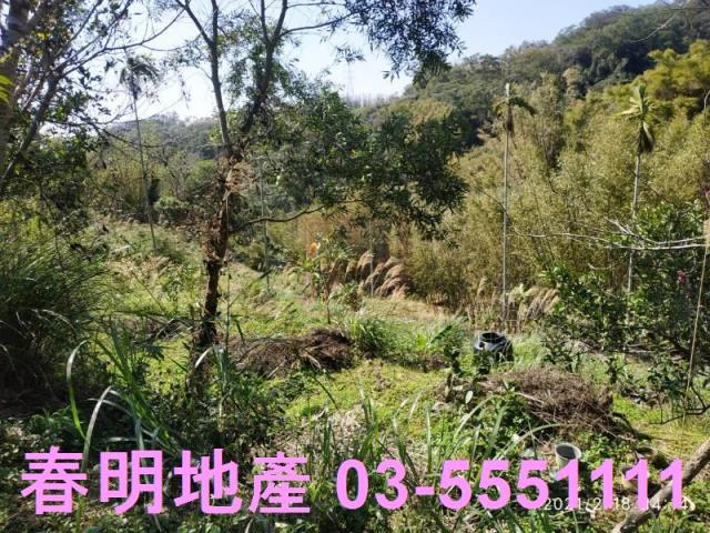 芎林農地-5