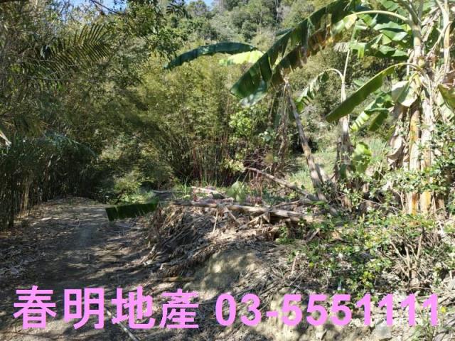 芎林農地-7