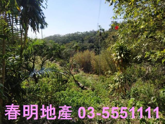 芎林農地-8
