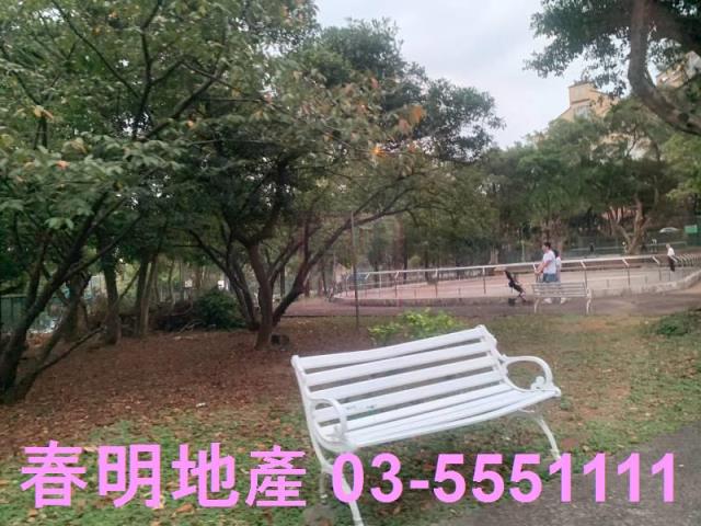 楊梅建地-6