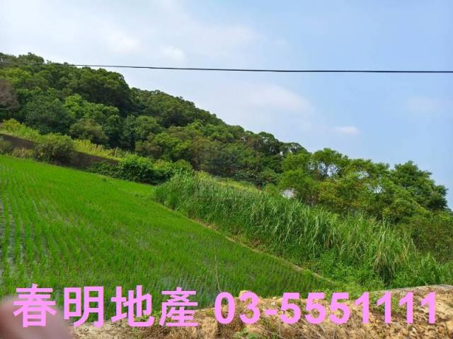 香山農地-1