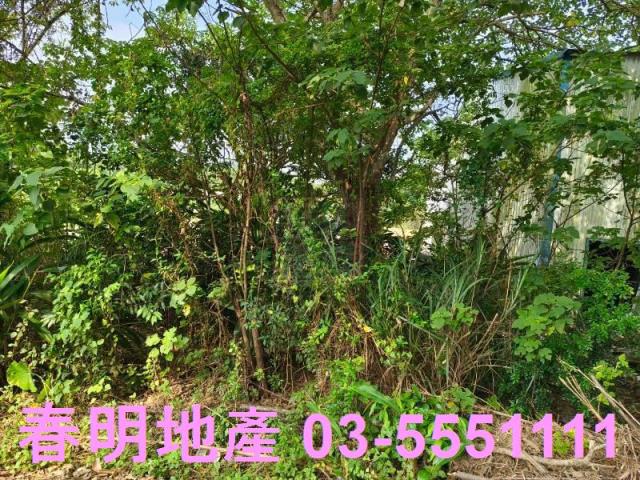 香山農地-2