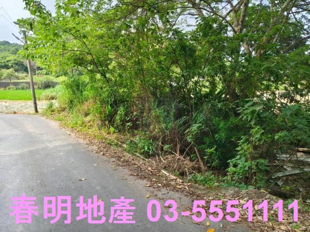 香山農地-4