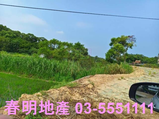 香山農地-5